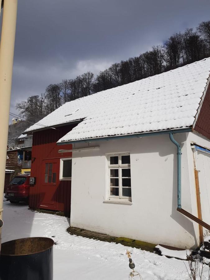 Ferienhaus Am Fluss Mit Traumhafter Dachterrasse ,Garten Und Grill Валькенрид Экстерьер фото