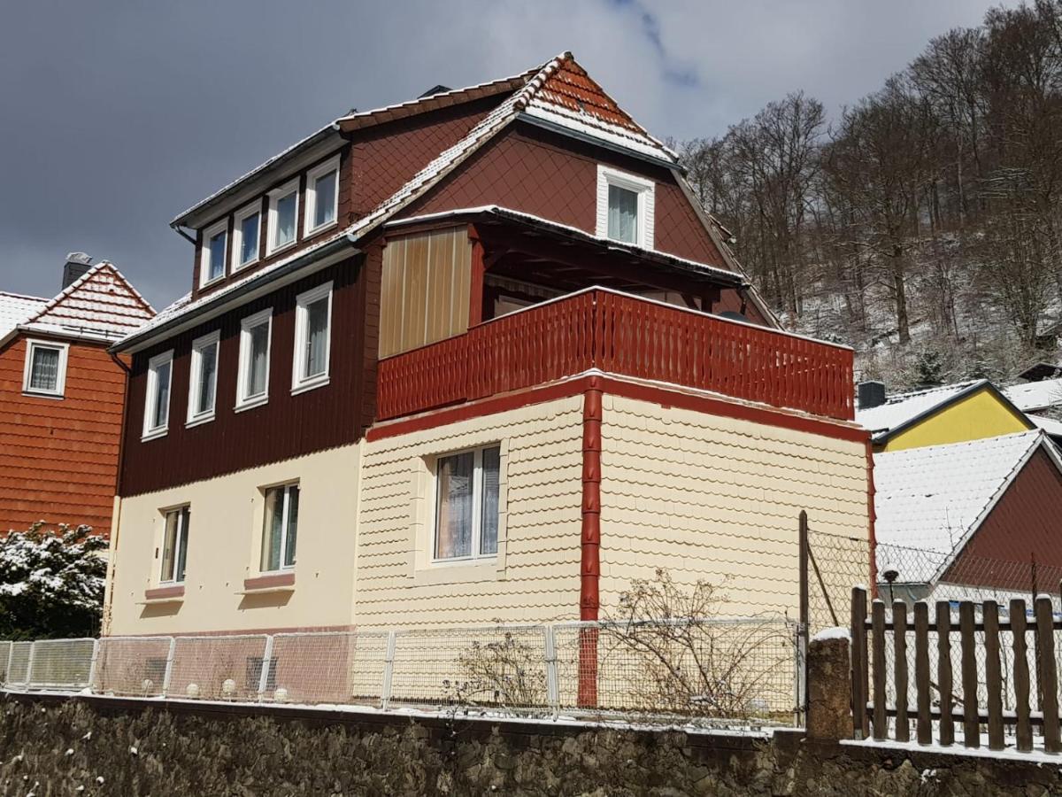 Ferienhaus Am Fluss Mit Traumhafter Dachterrasse ,Garten Und Grill Валькенрид Экстерьер фото