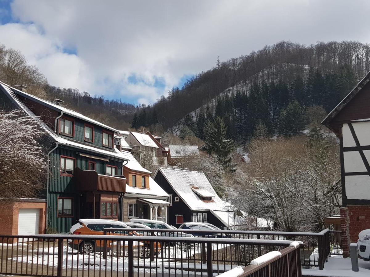 Ferienhaus Am Fluss Mit Traumhafter Dachterrasse ,Garten Und Grill Валькенрид Экстерьер фото